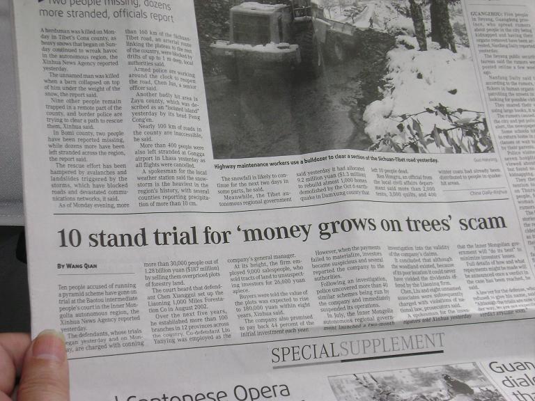 10 stand trail for money grows on tree scam